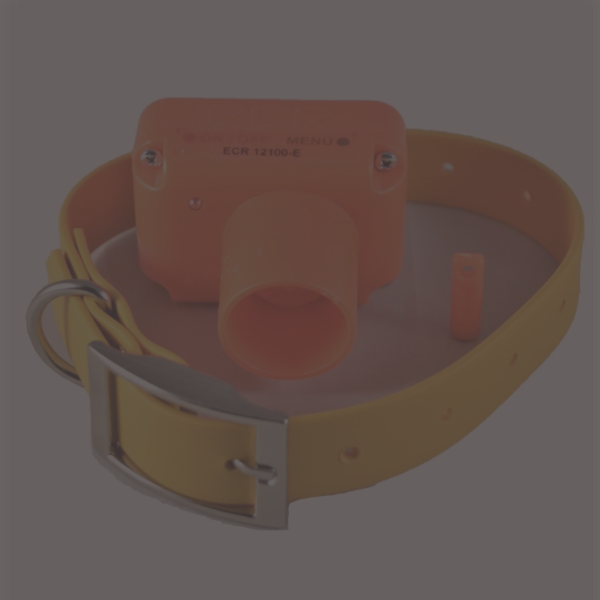 BEEPER FERMA TASMALARI