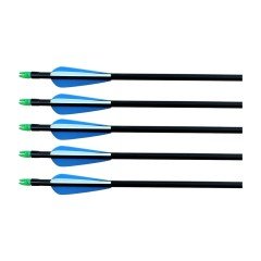 Topoint 30'' Değişebilen Uç Fiberglass Ok 12'li Paket