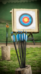 Topoint 30'' Sabit Uç Fiberglass Ok 12'li Paket